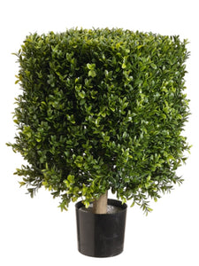 21" Square Boxwood Topiary in Plastic Pot Two Tone Green (Pack of 2)