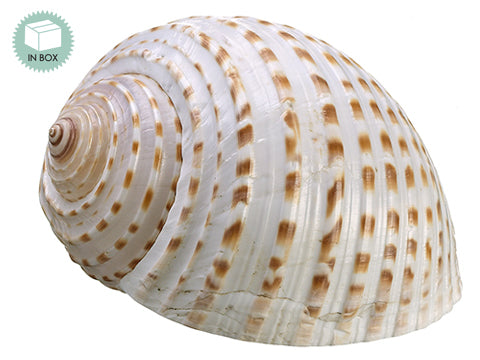3.5