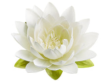 Load image into Gallery viewer, Cream