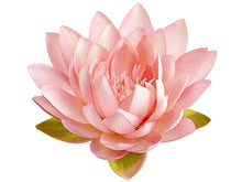 Load image into Gallery viewer, Pink Cream