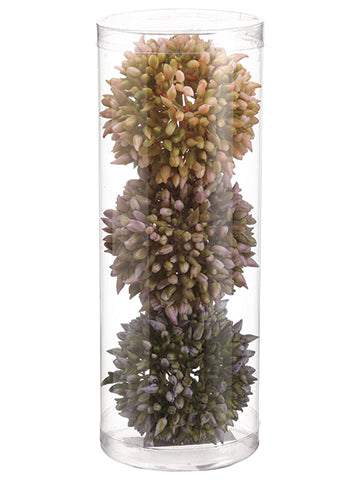 Blue Lavender