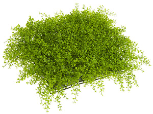 17"Wx17"L Soft PE Button Fern Square Mat Green (pack of 4)