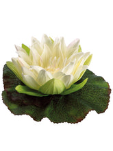 Load image into Gallery viewer, Cream