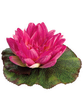 Load image into Gallery viewer, Fuchsia