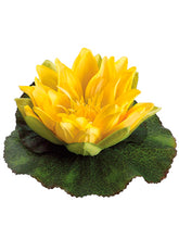 Load image into Gallery viewer, Yellow