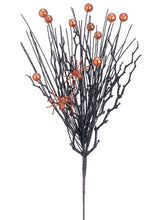 Load image into Gallery viewer, Black Orange