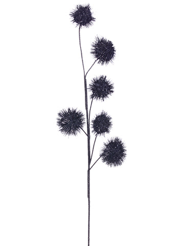 31
