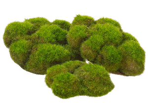 5.9"Wx5.5"L Assorted Mood Moss x3 in Poly Bag Green (pack of 6)
