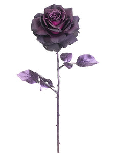 Eggplant Purple