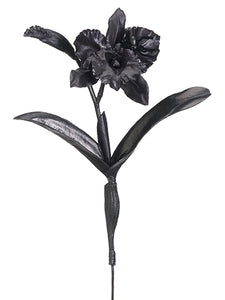 21" Cattleya Orchid Spray With Spider Black (pack of 6)