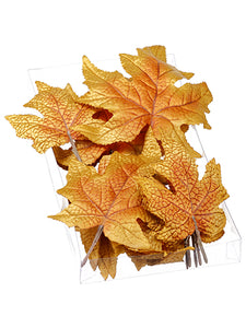 1"Hx5"Wx9"L Assorted Maple Leaf (18 ea/Acelate box) Brown (pack of 6)