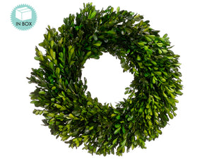 17" Preserved Boxwood Wreath  Green (pack of 2)