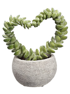 4" Heart Shape Succulent in Cement Pot Green (pack of 12)