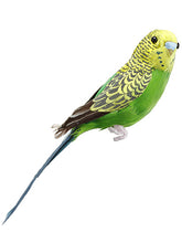 Load image into Gallery viewer, Green Yellow