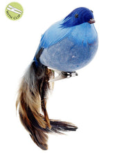 Load image into Gallery viewer, Blue