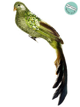 Load image into Gallery viewer, Green