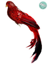 Load image into Gallery viewer, Red