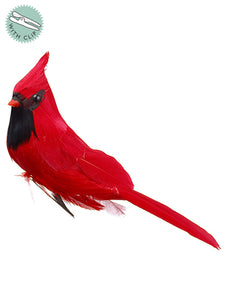 6" Cardinal With Clip  Red (pack of 12)