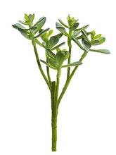 Load image into Gallery viewer, Green