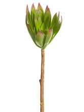 Load image into Gallery viewer, Green Burgundy