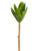 Load image into Gallery viewer, Green Gray