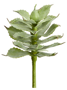 9.5" Agave Pick  Green Gray (pack of 12)
