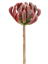 Load image into Gallery viewer, Burgundy Green