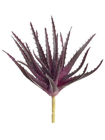 Eggplant