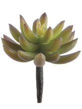 Load image into Gallery viewer, Green Purple