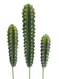 10.5"-17.5" Soft Peruvian Cactus (3 Assorted/set) Green (pack of 6)