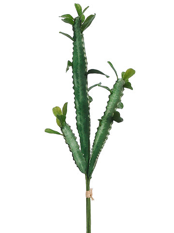 14.5