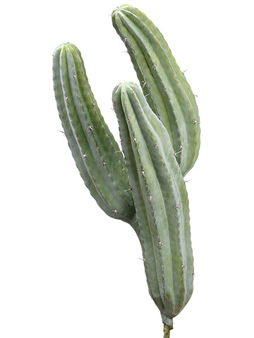 38