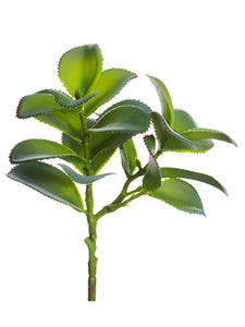 8.5" Dischidia Leaf Pick  Green (pack of 12)