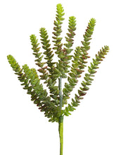 Load image into Gallery viewer, Green Burgundy