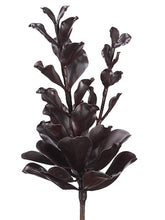 Load image into Gallery viewer, Dark Burgundy