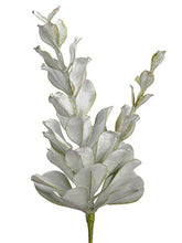 Load image into Gallery viewer, Green Gray