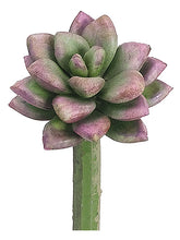 Load image into Gallery viewer, Green Mauve