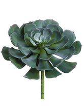 Load image into Gallery viewer, Green Gray