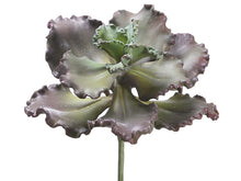 Load image into Gallery viewer, Purple Green