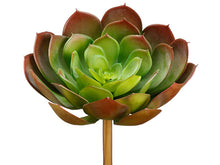 Load image into Gallery viewer, Green Burgundy