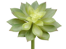 Load image into Gallery viewer, Green
