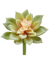 Load image into Gallery viewer, Green Mauve