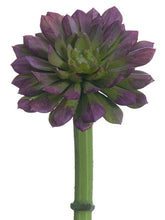 Load image into Gallery viewer, Plum