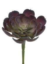 Load image into Gallery viewer, Burgundy Green