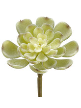 Load image into Gallery viewer, Frosted Green