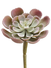 Load image into Gallery viewer, Purple Green