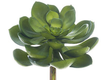 Load image into Gallery viewer, Green