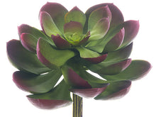 Load image into Gallery viewer, Green Burgundy