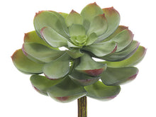Load image into Gallery viewer, Green Gray
