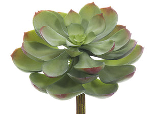 Green Gray